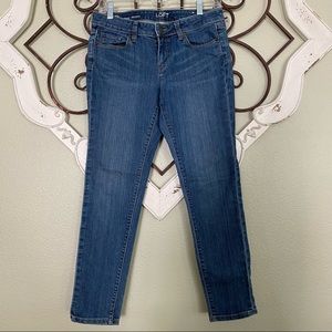 Loft Modern Skinny Leg Denim Jeans 6P
